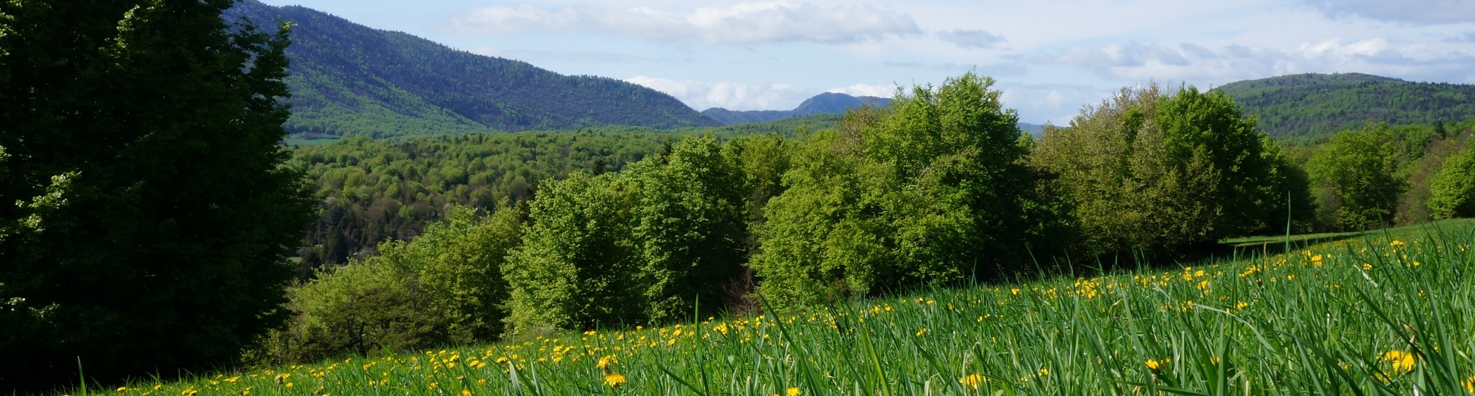 printemps vassieux en vercors