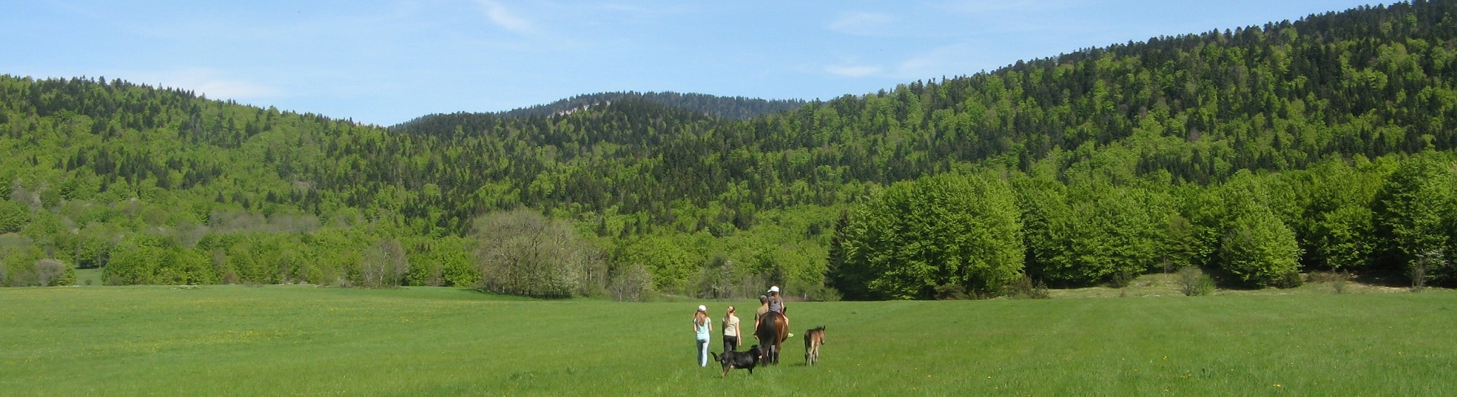 vue vassieux printemps chevaux du vercors barraquand