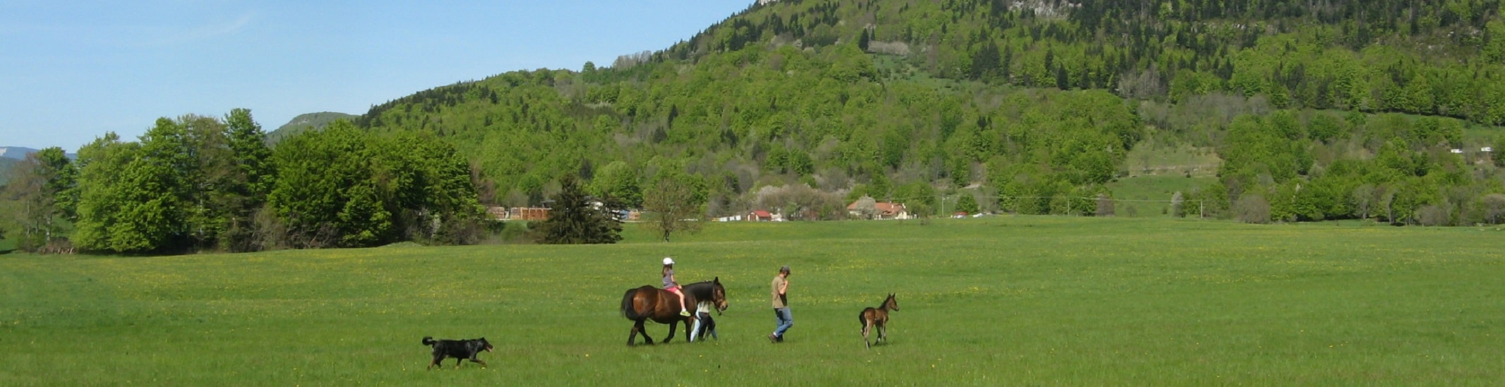 plaine de vassieux balade chevaux du Vercors Barraquant