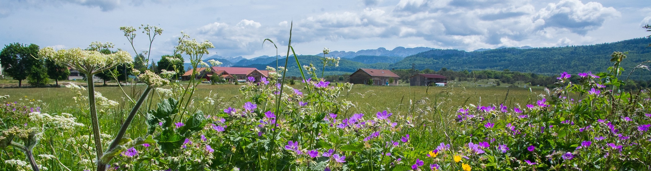 vue des chalets au printemps avec des fleurs